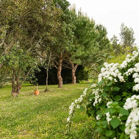 Guest house Guestready - Quinta Do Sol 4*
